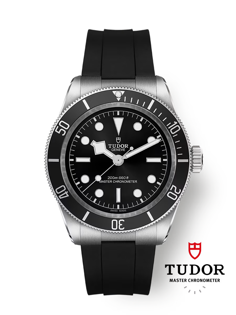 Tudor Black Bay