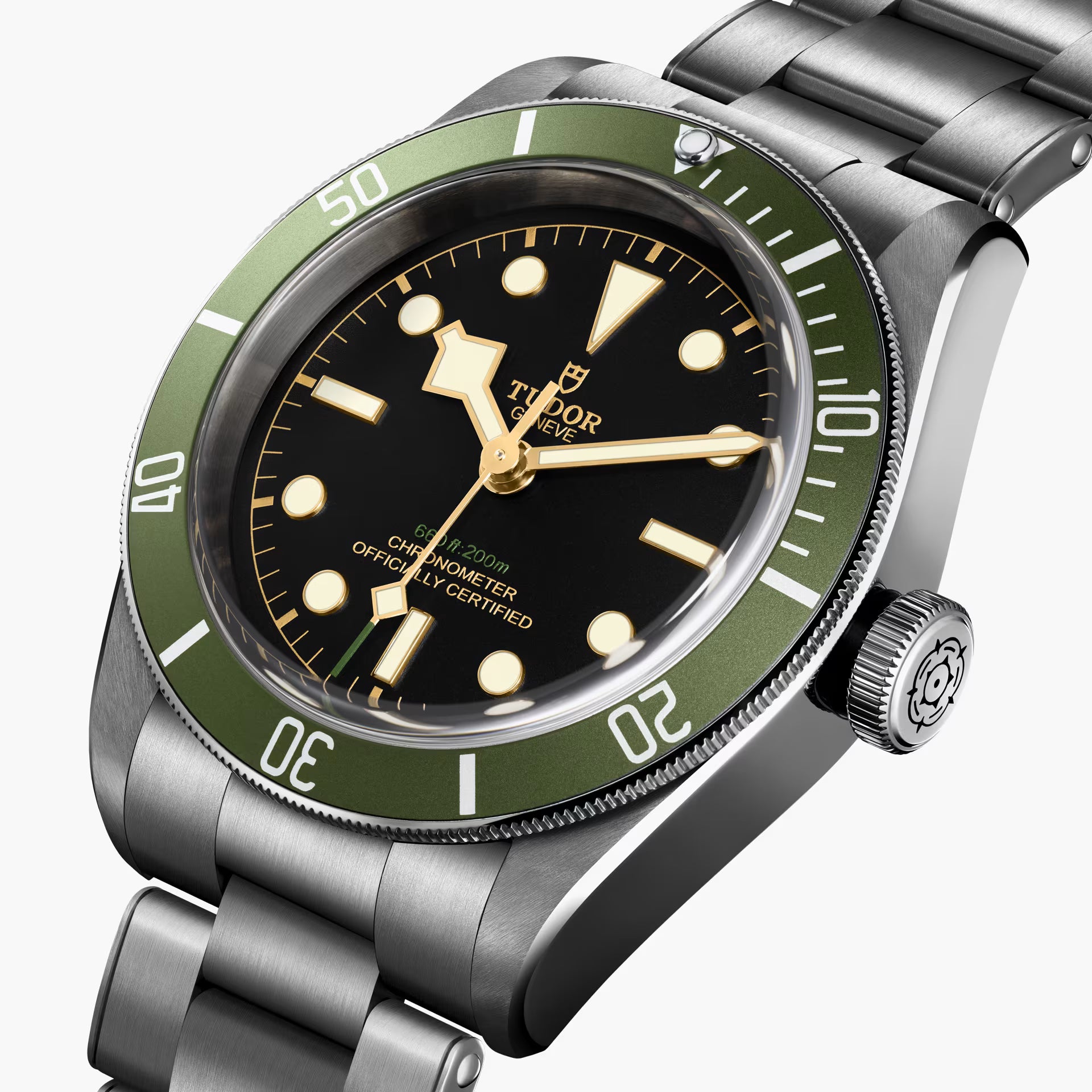 Tudor Green Day