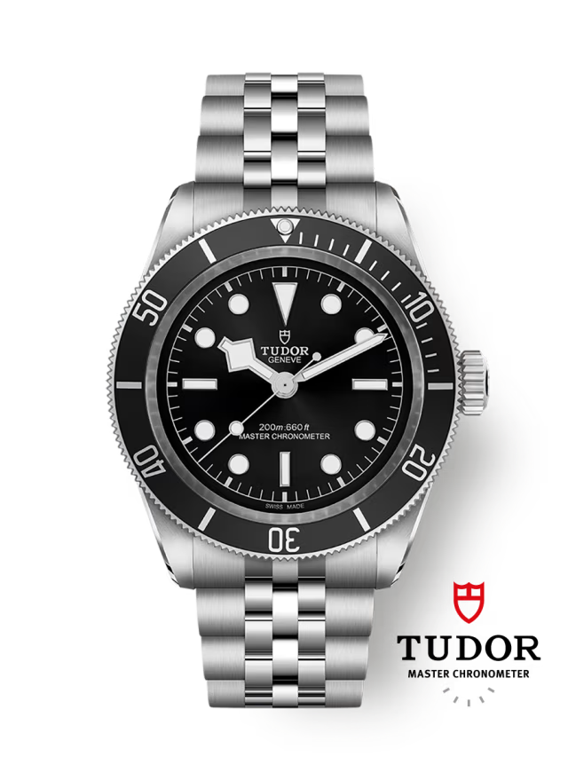 Tudor Black Bay